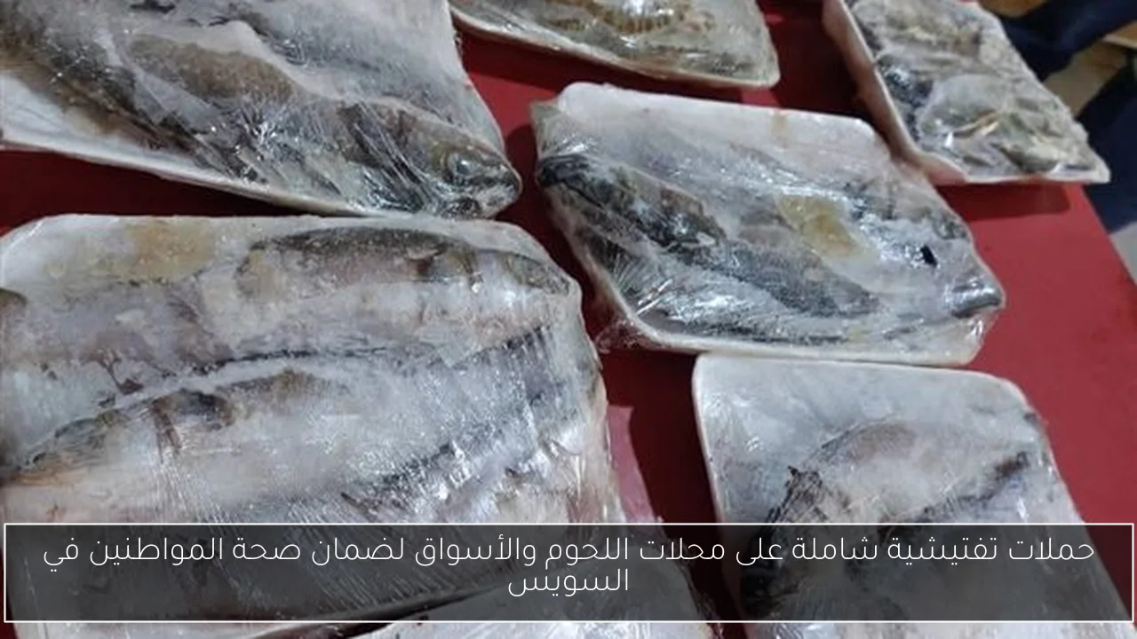 حملات تفتيشية شاملة على محلات اللحوم والأسواق لضمان صحة المواطنين في السويس