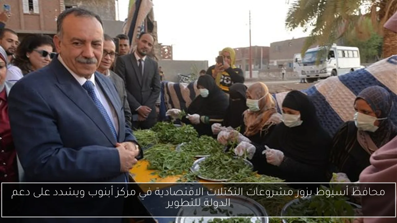محافظ أسيوط يزور مشروعات التكتلات الاقتصادية في مركز أبنوب ويشدد على دعم الدولة للتطوير
