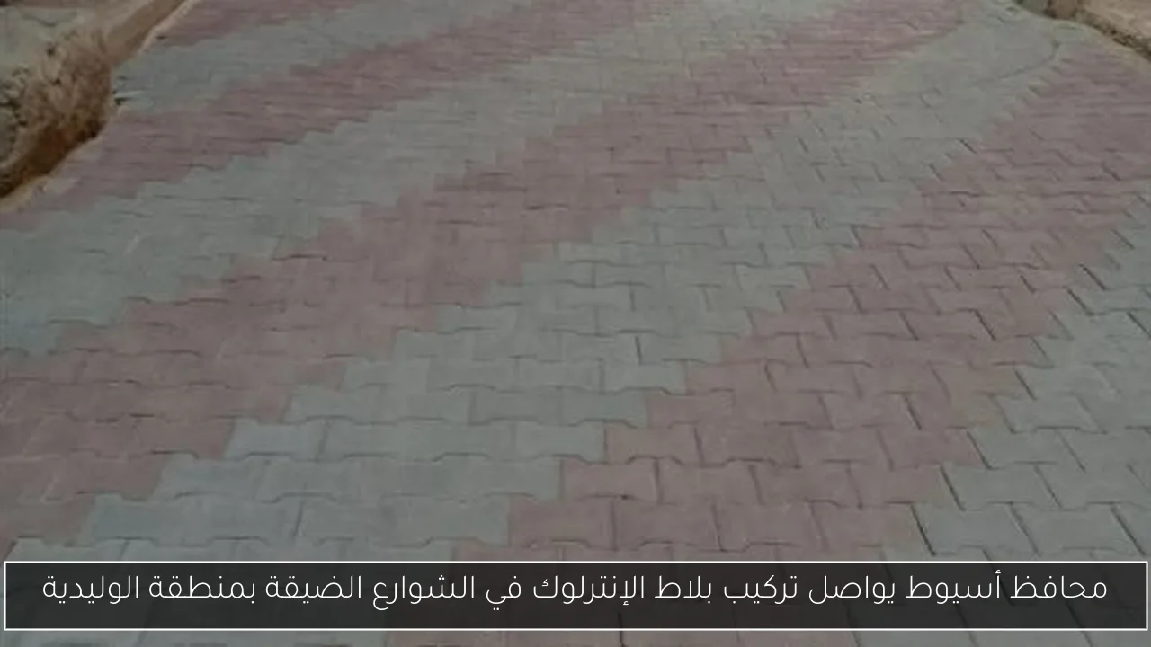 محافظ أسيوط يواصل تركيب بلاط الإنترلوك في الشوارع الضيقة بمنطقة الوليدية