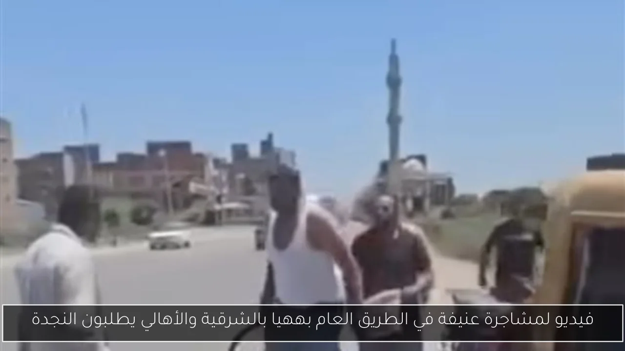 فيديو لمشاجرة عنيفة في الطريق العام بههيا بالشرقية والأهالي يطلبون النجدة