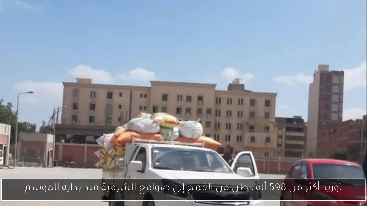 توريد أكثر من 598 ألف طن من القمح إلى صوامع الشرقية منذ بداية الموسم