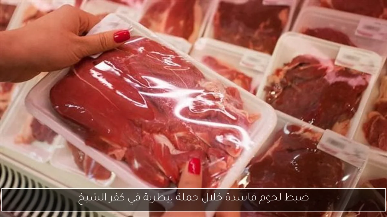 ضبط لحوم فاسدة خلال حملة بيطرية في كفر الشيخ