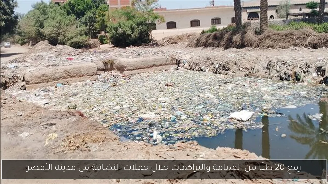 رفع 20 طنًا من القمامة والتراكمات خلال حملات النظافة في مدينة الأقصر