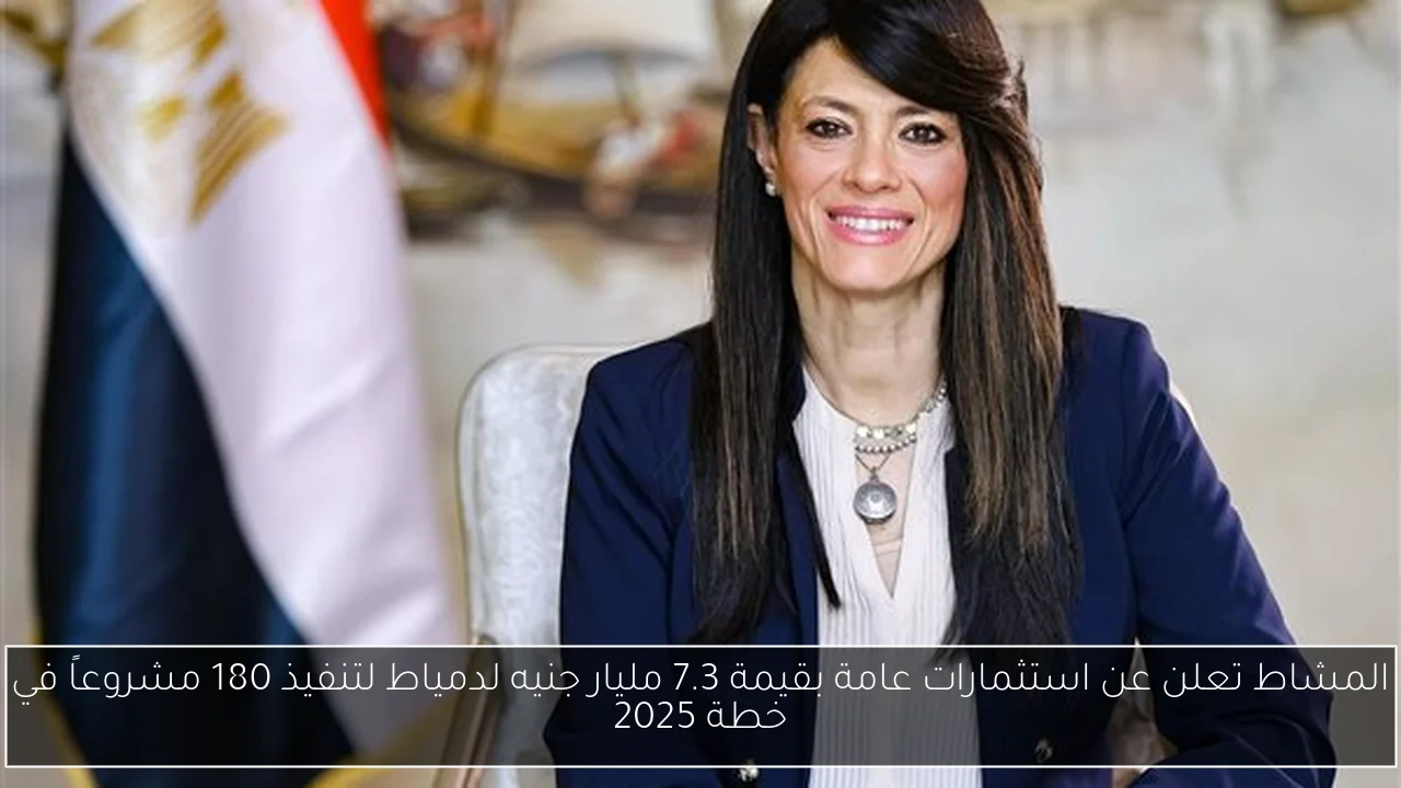 المشاط تعلن عن استثمارات عامة بقيمة 7.3 مليار جنيه لدمياط لتنفيذ 180 مشروعاً في خطة 2025