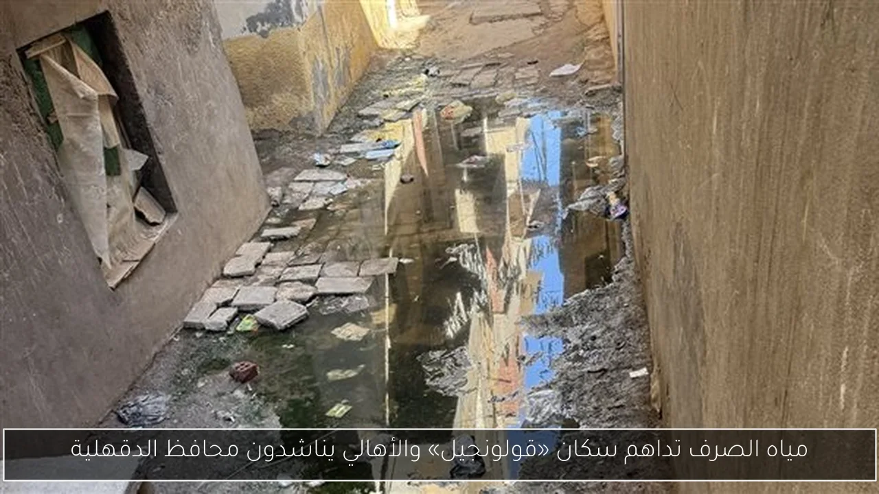 مياه الصرف تداهم سكان «قولونجيل» والأهالي يناشدون محافظ الدقهلية