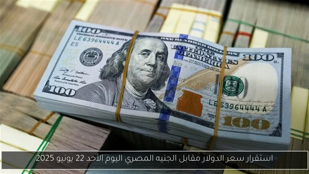 استقرار سعر الدولار مقابل الجنيه المصري اليوم الأحد 22 يونيو 2025