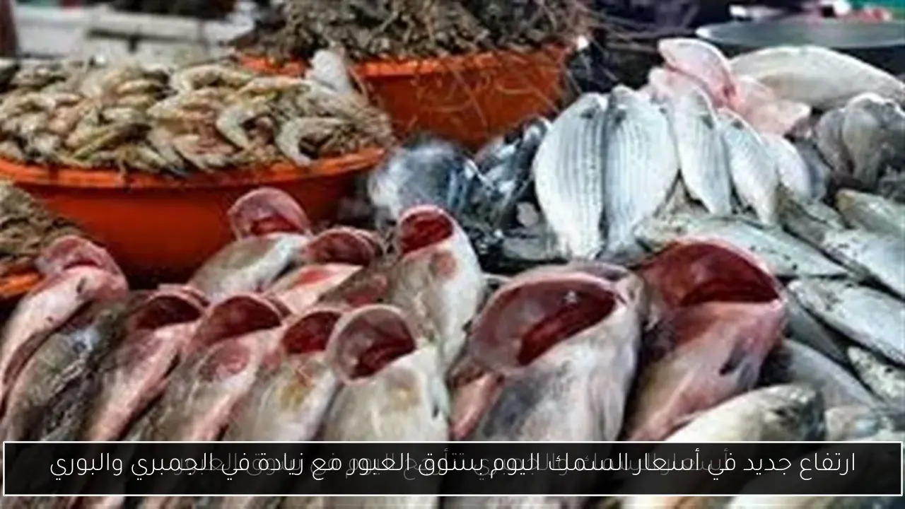 ارتفاع جديد في أسعار السمك اليوم بسوق العبور مع زيادة في الجمبري والبوري