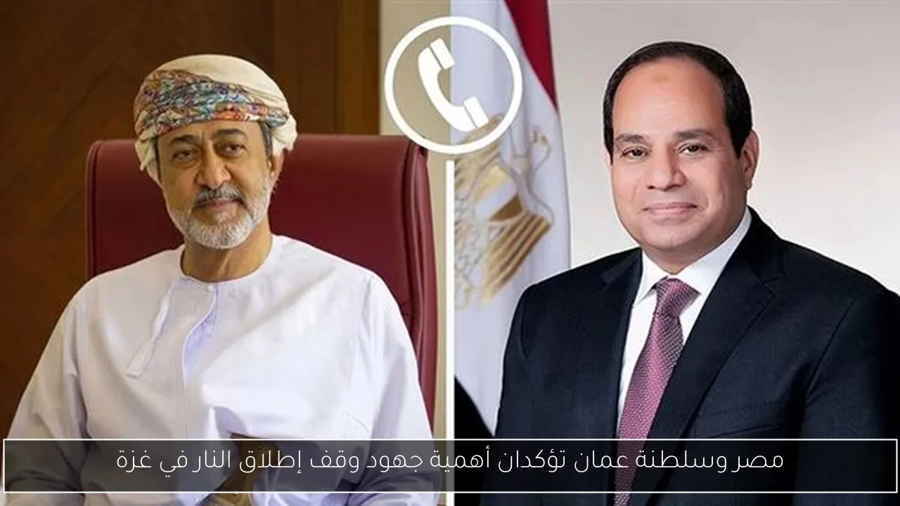 مصر وسلطنة عمان تؤكدان أهمية جهود وقف إطلاق النار في غزة