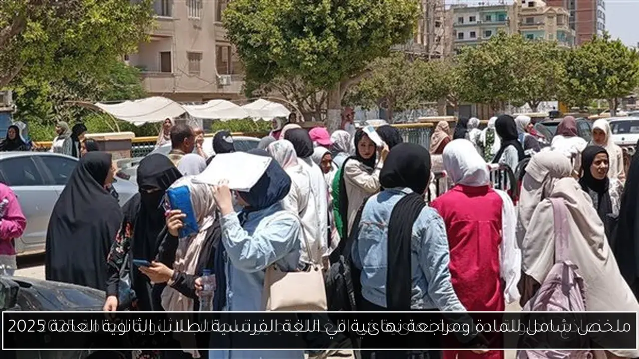 ملخص شامل للمادة ومراجعة نهائية في اللغة الفرنسية لطلاب الثانوية العامة 2025