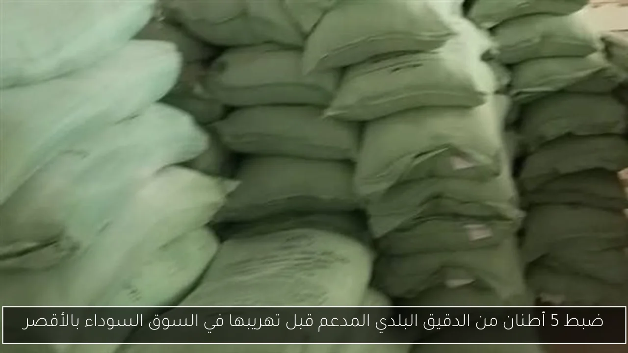ضبط 5 أطنان من الدقيق البلدي المدعم قبل تهريبها في السوق السوداء بالأقصر