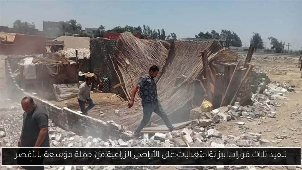 تنفيذ ثلاث قرارات لإزالة التعديات على الأراضي الزراعية في حملة موسعة بالأقصر