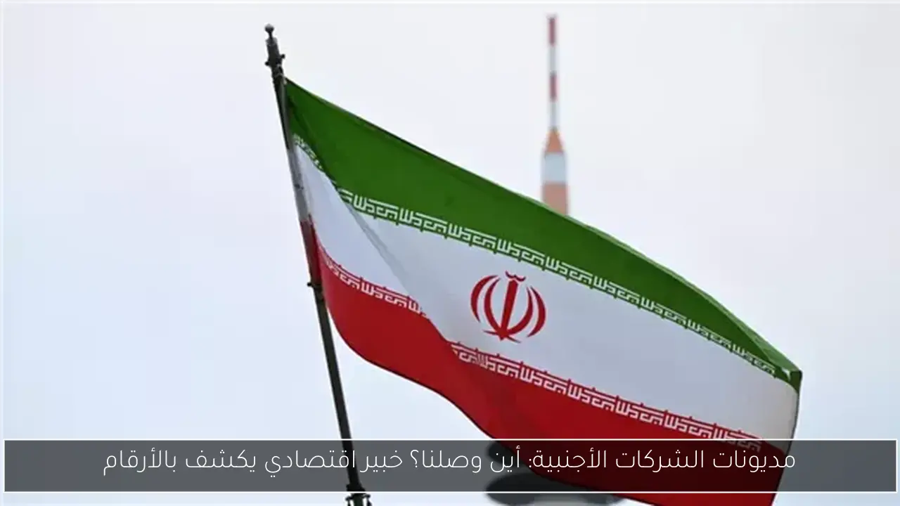 مديونات الشركات الأجنبية: أين وصلنا؟ خبير اقتصادي يكشف بالأرقام