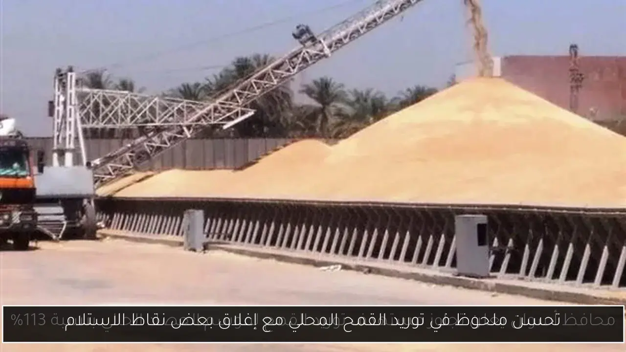 تحسن ملحوظ في توريد القمح المحلي مع إغلاق بعض نقاط الاستلام