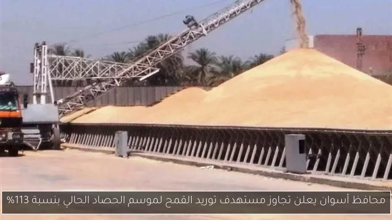 محافظ أسوان يعلن تجاوز مستهدف توريد القمح لموسم الحصاد الحالي بنسبة 113%