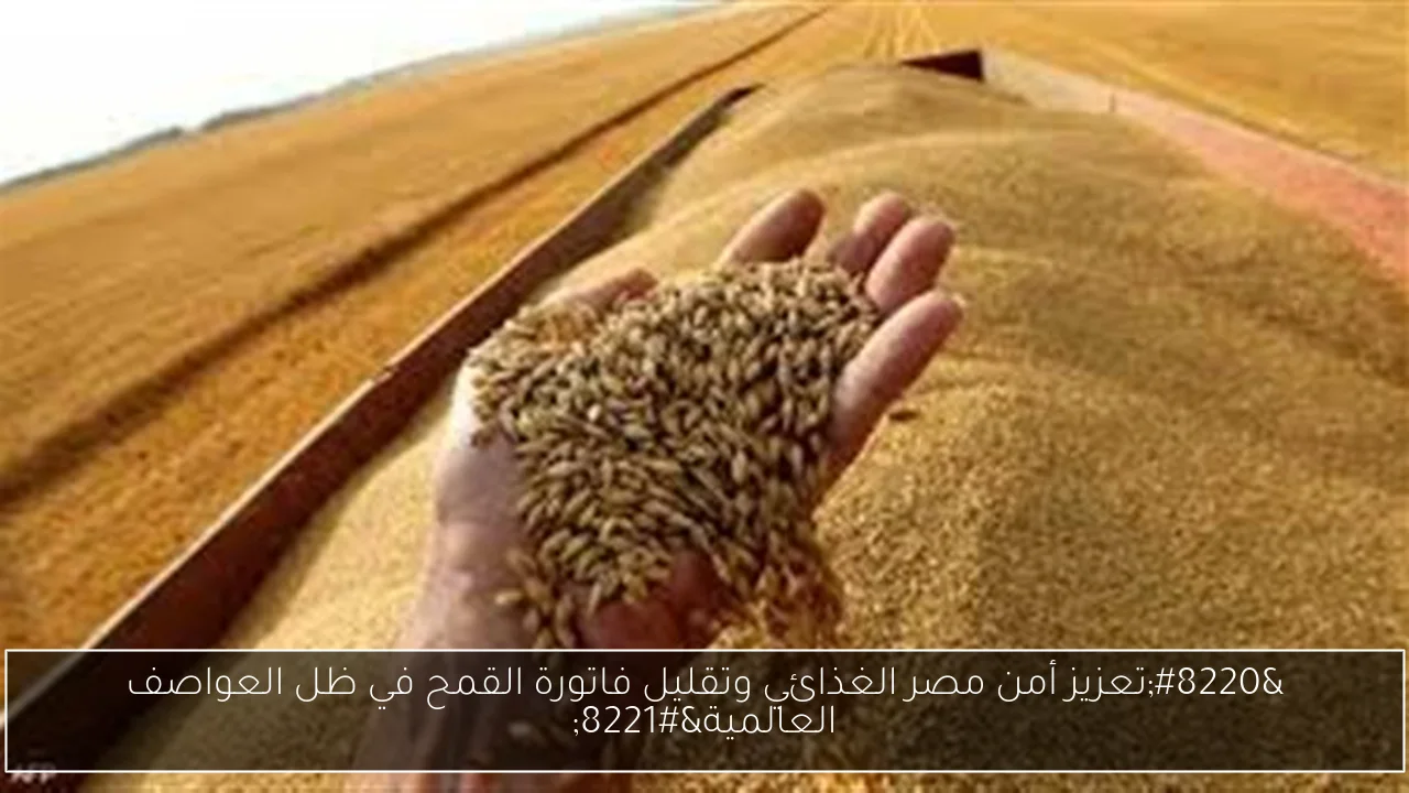 “تعزيز أمن مصر الغذائي وتقليل فاتورة القمح في ظل العواصف العالمية”