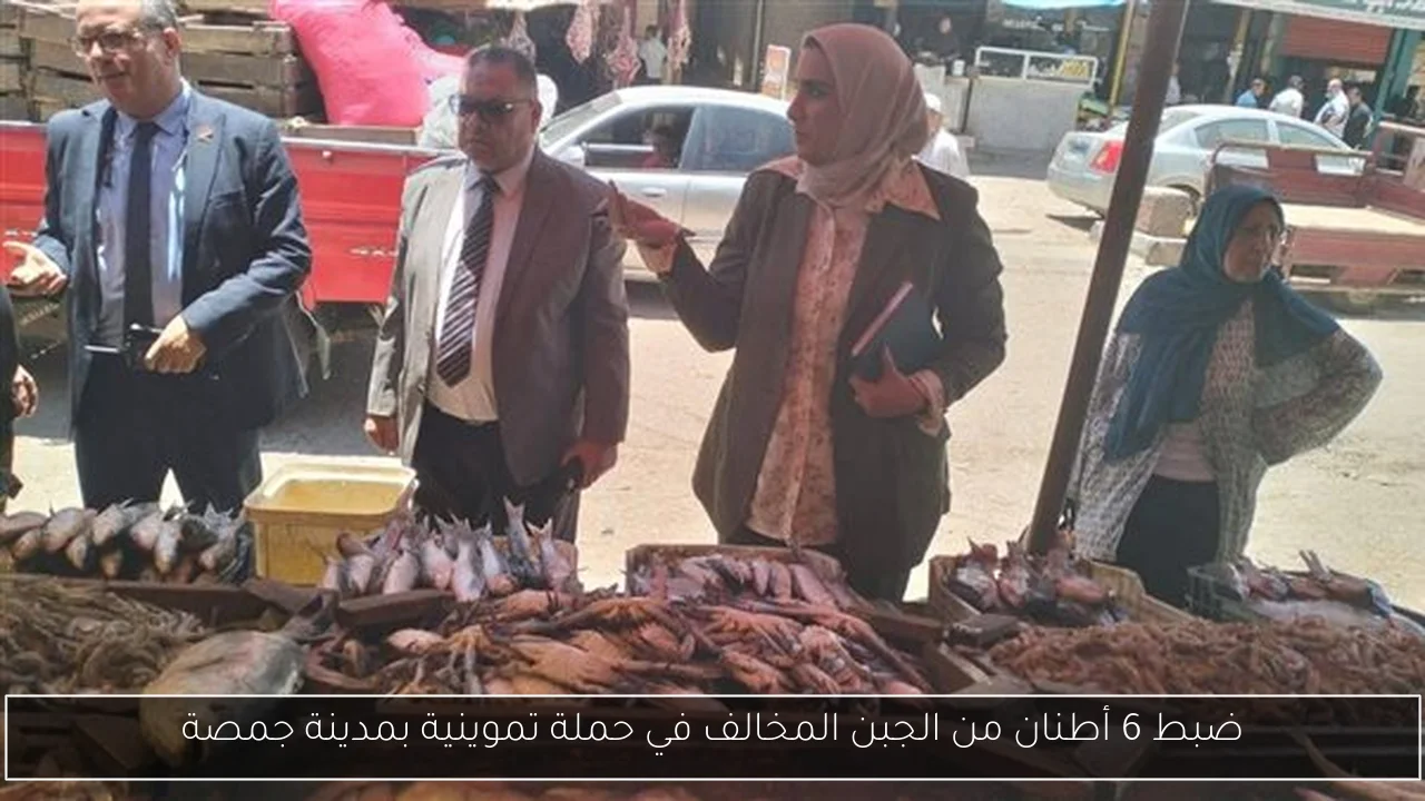 ضبط 6 أطنان من الجبن المخالف في حملة تموينية بمدينة جمصة