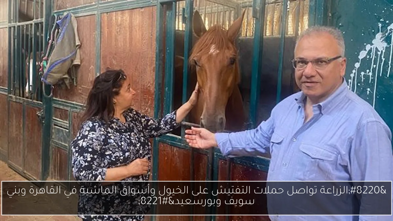 “الزراعة تواصل حملات التفتيش على الخيول وأسواق الماشية في القاهرة وبني سويف وبورسعيد”