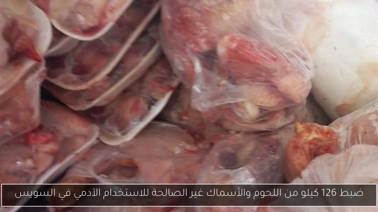 ضبط 126 كيلو من اللحوم والأسماك غير الصالحة للاستخدام الآدمي في السويس