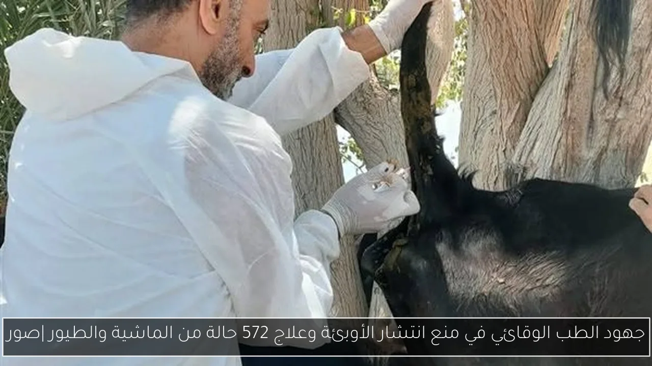 جهود الطب الوقائي في منع انتشار الأوبئة وعلاج 572 حالة من الماشية والطيور |صور