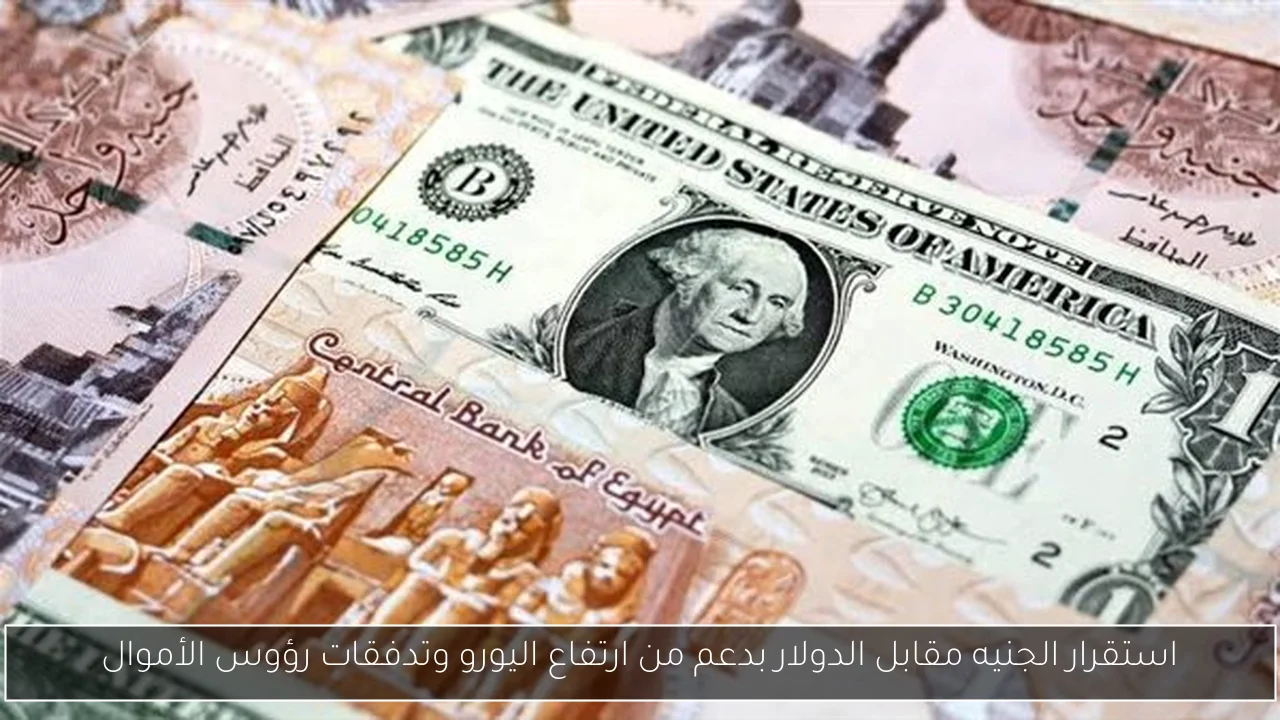 استقرار الجنيه مقابل الدولار بدعم من ارتفاع اليورو وتدفقات رؤوس الأموال