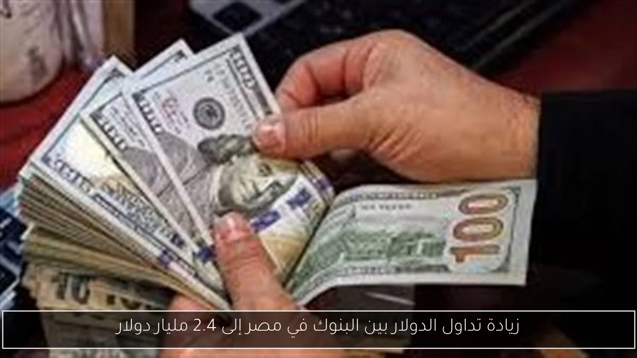 زيادة تداول الدولار بين البنوك في مصر إلى 2.4 مليار دولار