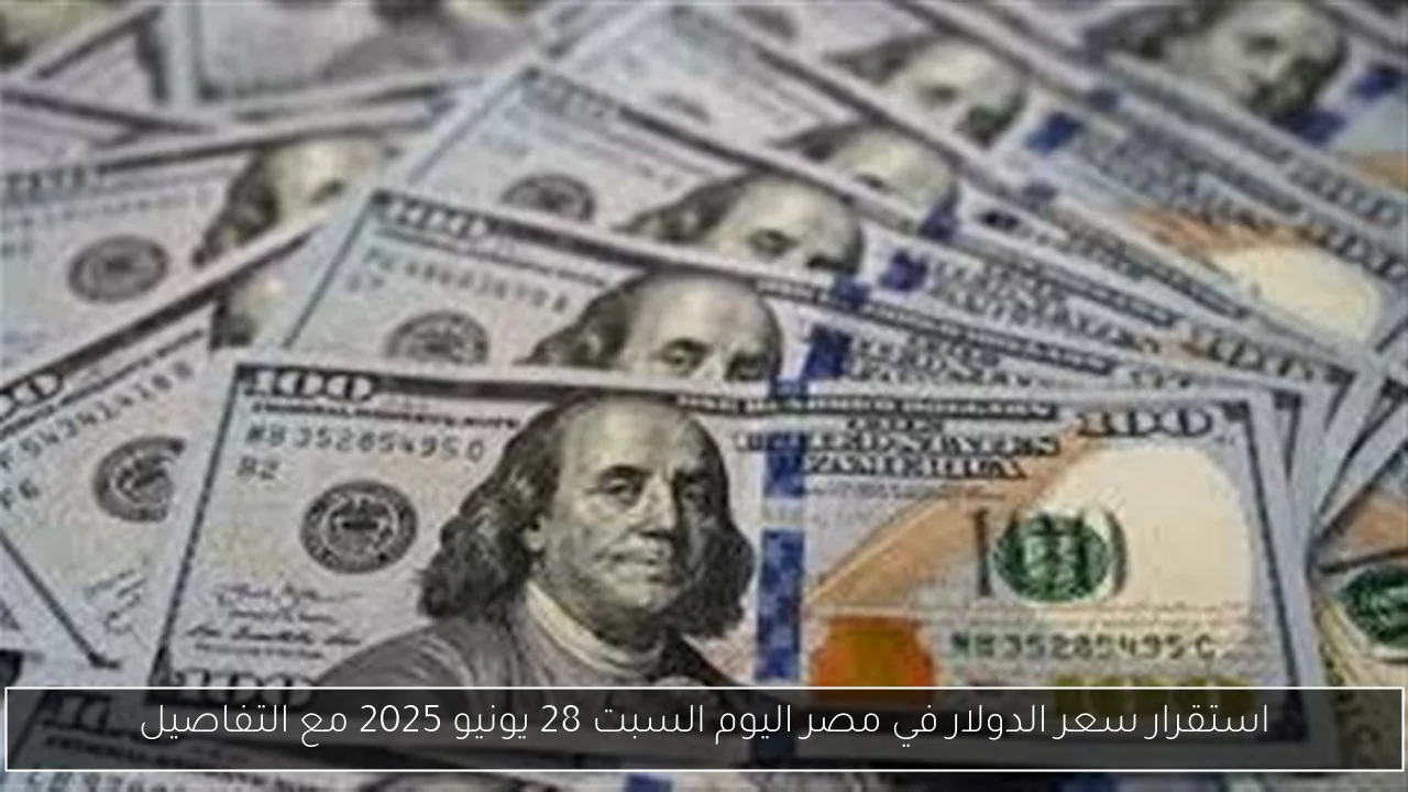 استقرار سعر الدولار في مصر اليوم السبت 28 يونيو 2025 مع التفاصيل