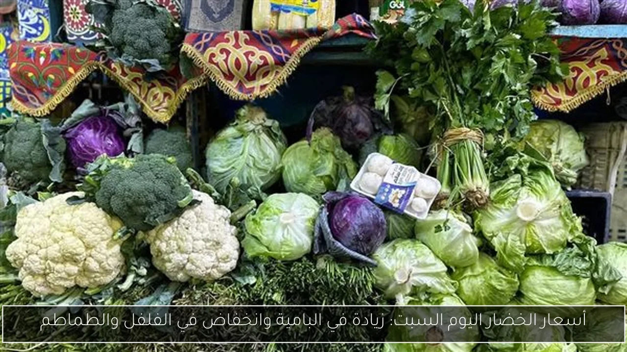 أسعار الخضار اليوم السبت: زيادة في البامية وانخفاض في الفلفل والطماطم