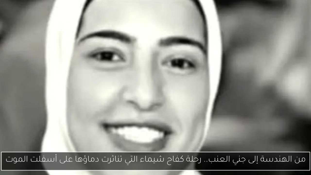 من الهندسة إلى جني العنب.. رحلة كفاح شيماء التي تناثرت دماؤها على أسفلت الموت
