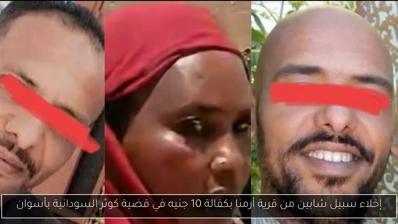 إخلاء سبيل شابين من قرية أرمنا بكفالة 10 جنيه في قضية كوثر السودانية بأسوان