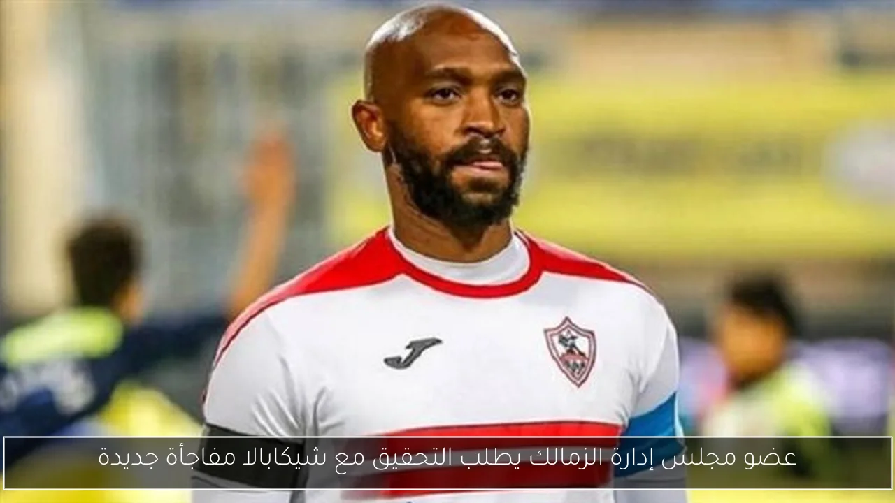 عضو مجلس إدارة الزمالك يطلب التحقيق مع شيكابالا مفاجأة جديدة