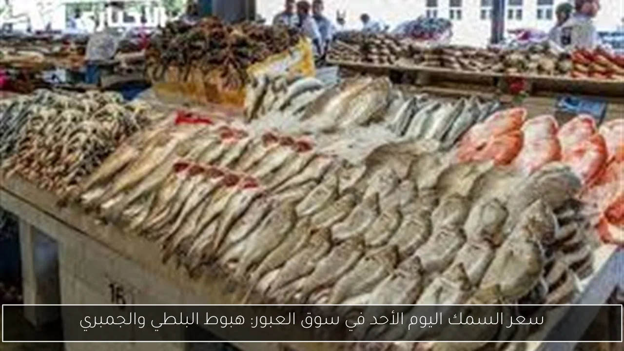 سعر السمك اليوم الأحد في سوق العبور: هبوط البلطي والجمبري