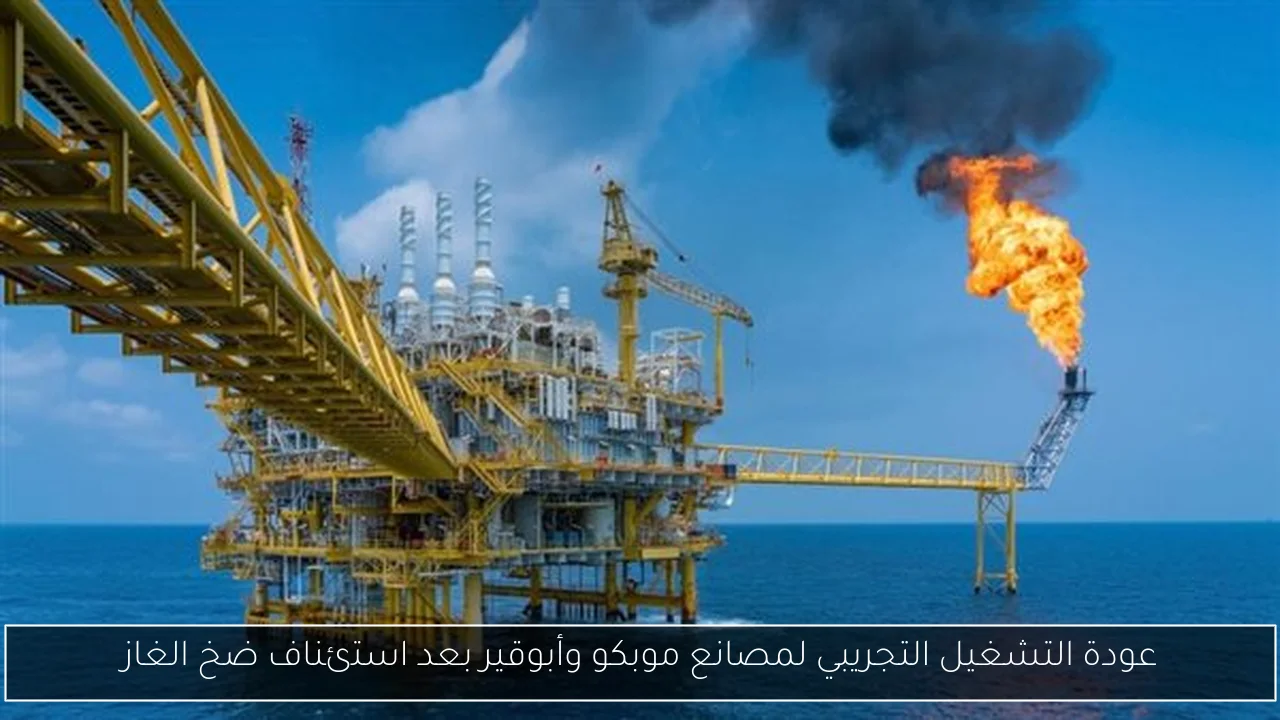 عودة التشغيل التجريبي لمصانع موبكو وأبوقير بعد استئناف ضخ الغاز