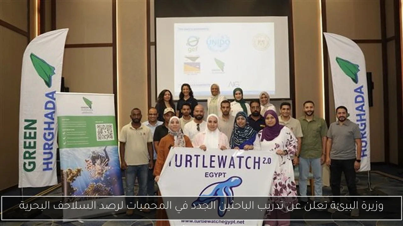 وزيرة البيئة تعلن عن تدريب الباحثين الجدد في المحميات لرصد السلاحف البحرية