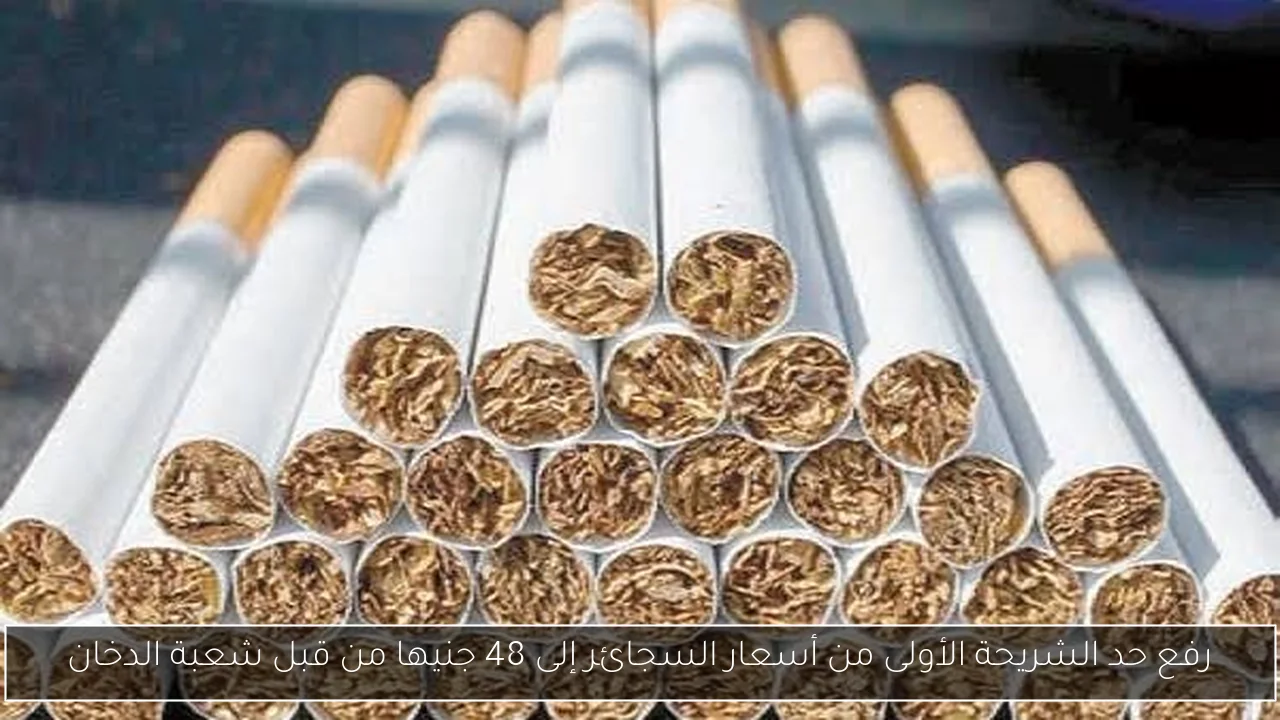 رفع حد الشريحة الأولى من أسعار السجائر إلى 48 جنيها من قبل شعبة الدخان