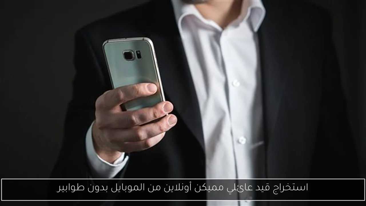 استخراج قيد عائلي مميكن أونلاين من الموبايل بدون طوابير