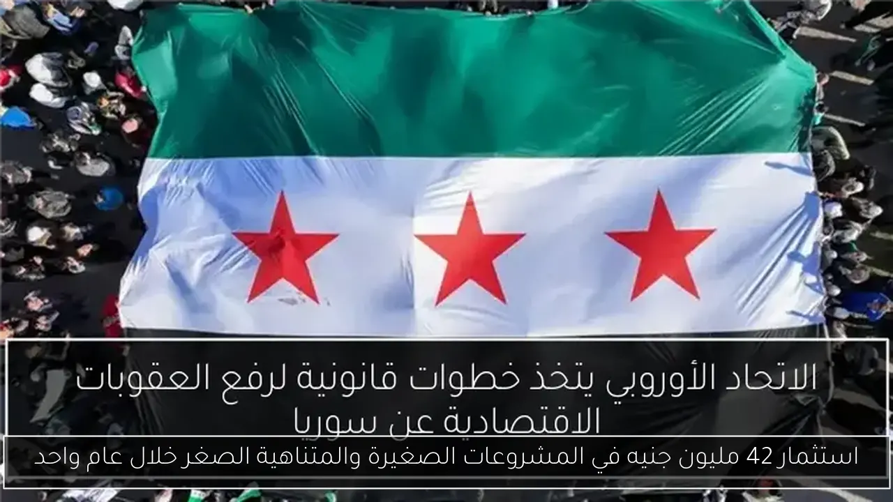 استثمار 42 مليون جنيه في المشروعات الصغيرة والمتناهية الصغر خلال عام واحد