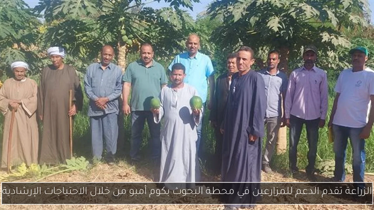 الزراعة تقدم الدعم للمزارعين في محطة البحوث بكوم أمبو من خلال الاحتياجات الإرشادية