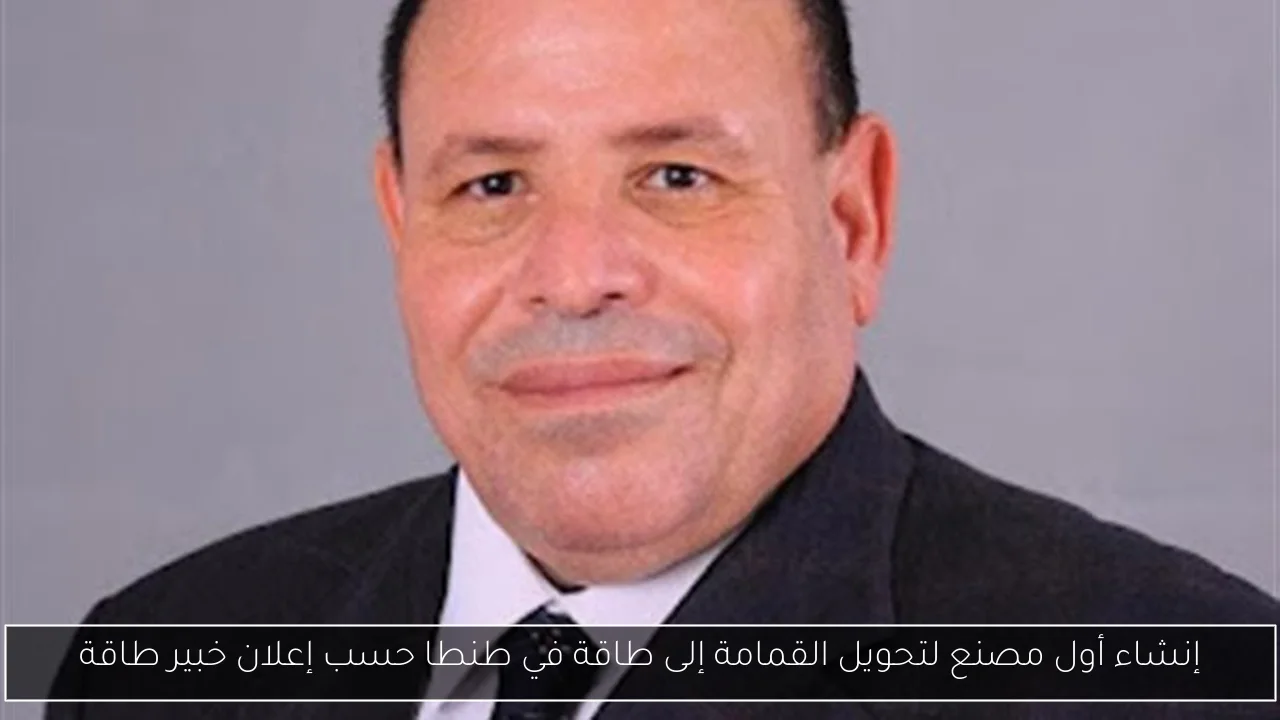 إنشاء أول مصنع لتحويل القمامة إلى طاقة في طنطا حسب إعلان خبير طاقة