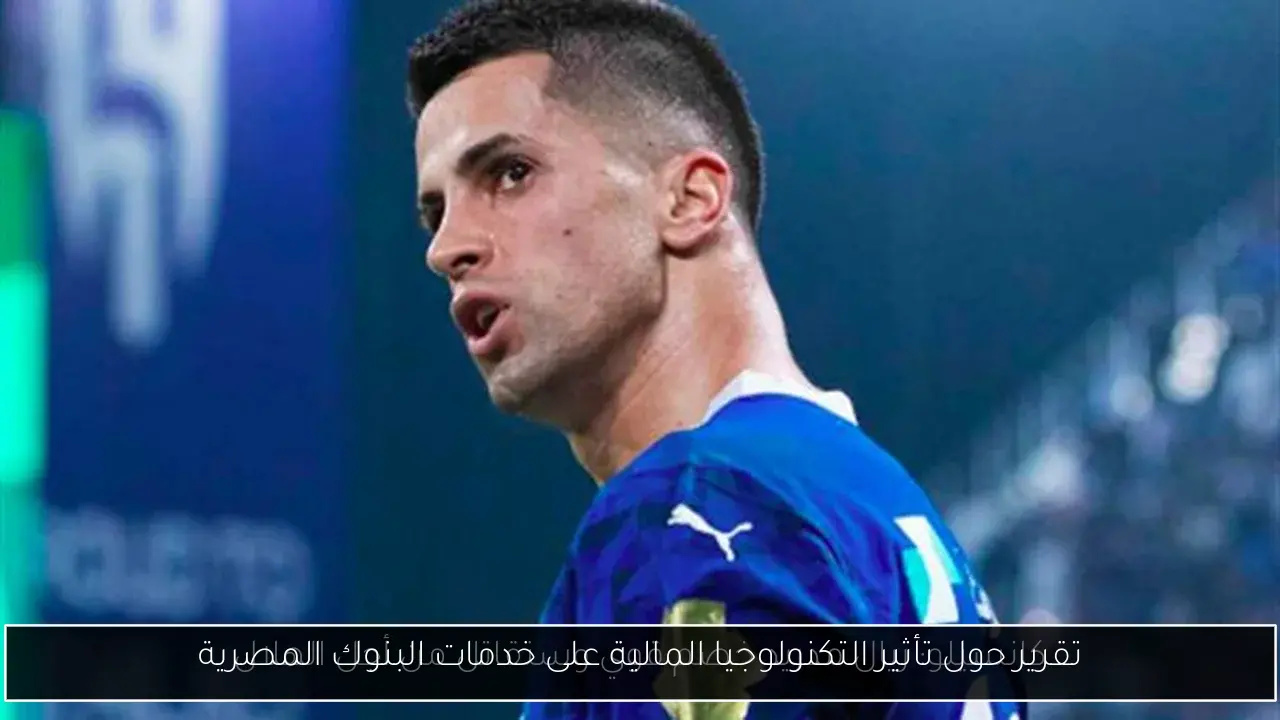 تقرير حول تأثير التكنولوجيا المالية على خدمات البنوك المصرية