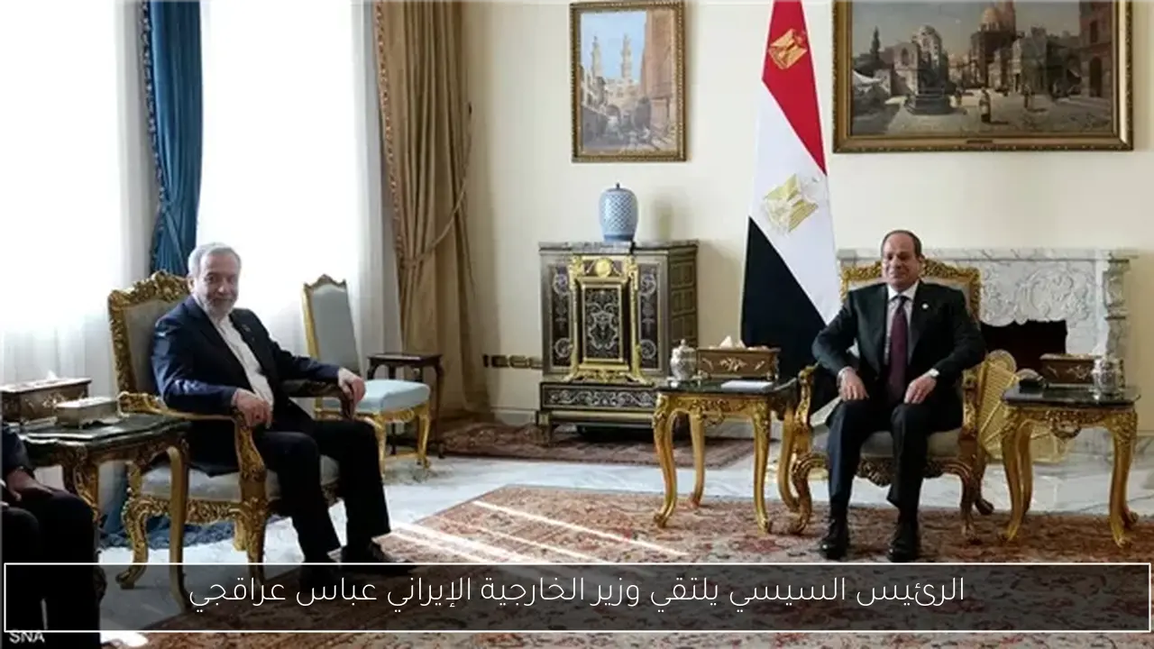 الرئيس السيسي يلتقي وزير الخارجية الإيراني عباس عراقجي