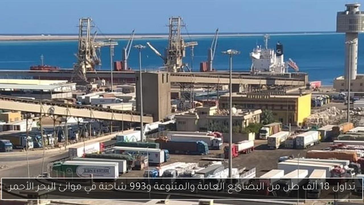 تداول 18 ألف طن من البضائع العامة والمتنوعة و993 شاحنة في موانئ البحر الأحمر
