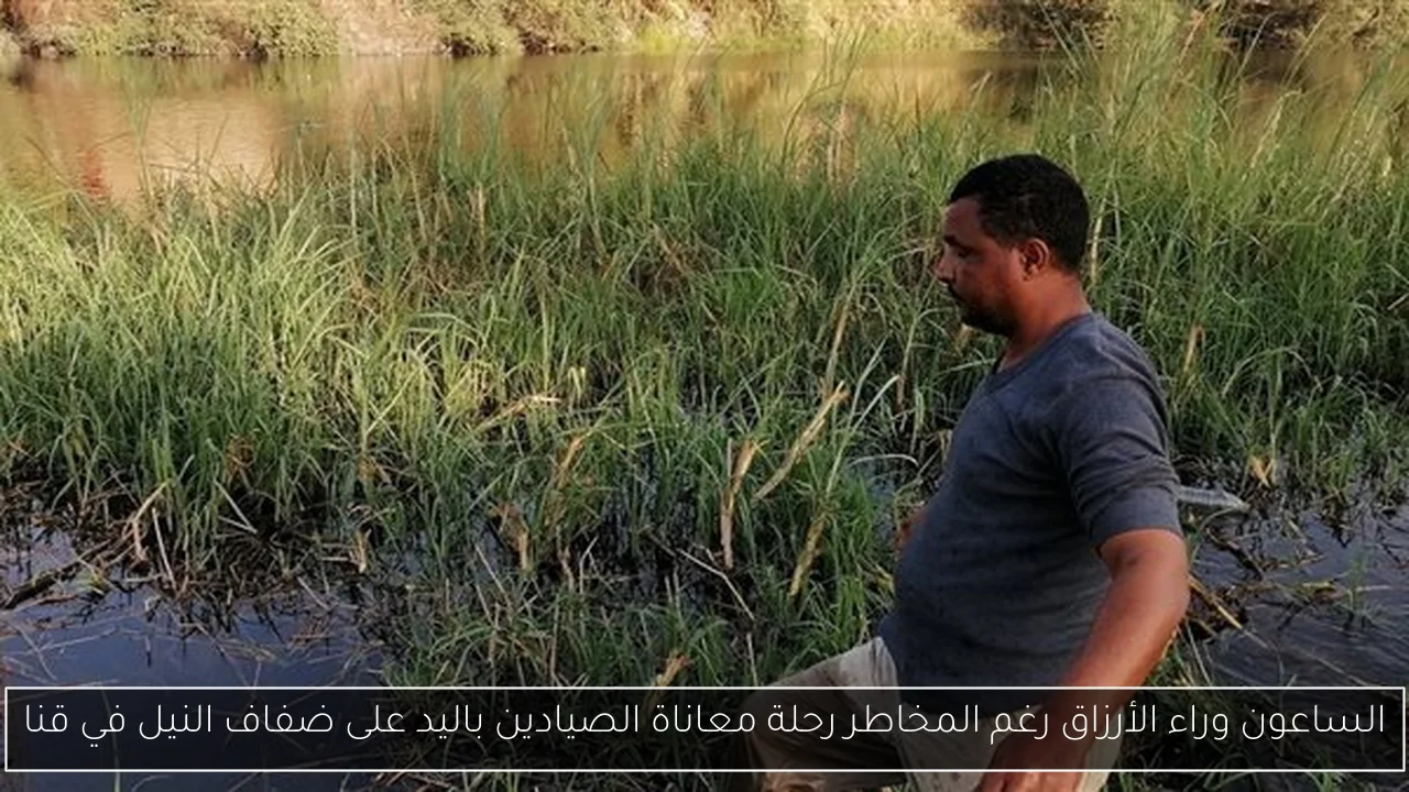 الساعون وراء الأرزاق رغم المخاطر رحلة معاناة الصيادين باليد على ضفاف النيل في قنا