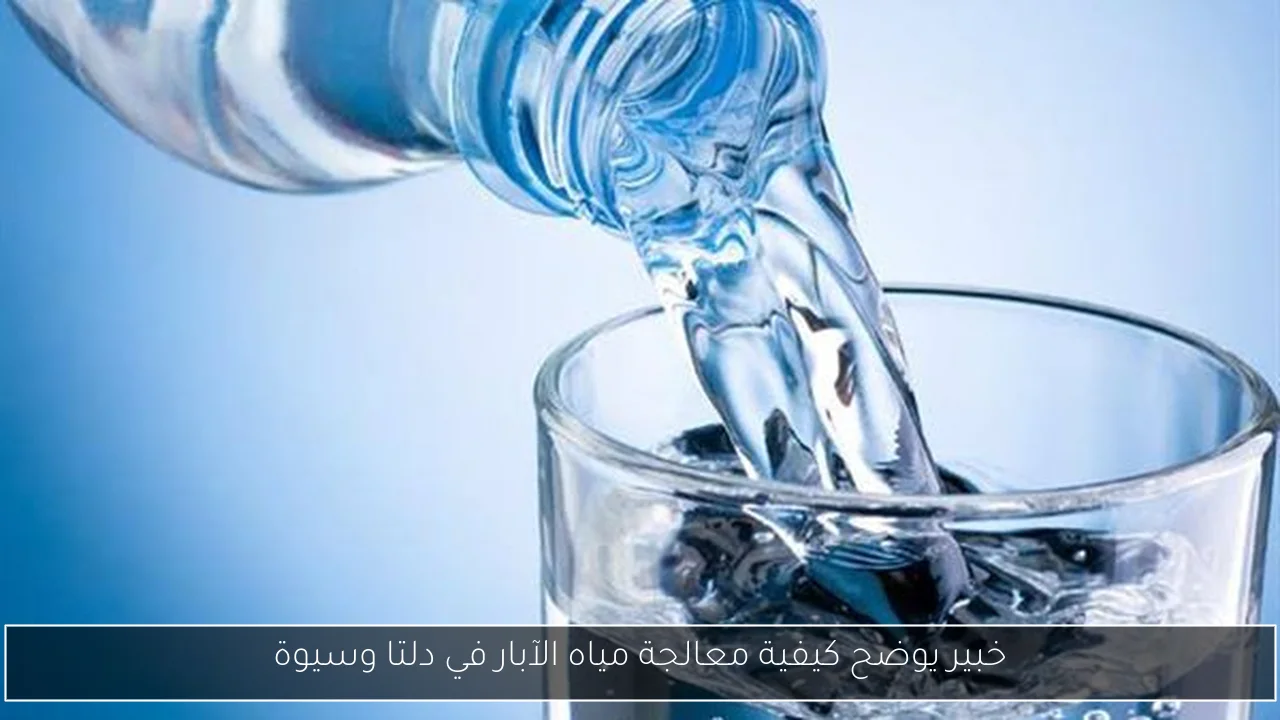 خبير يوضح كيفية معالجة مياه الآبار في دلتا وسيوة