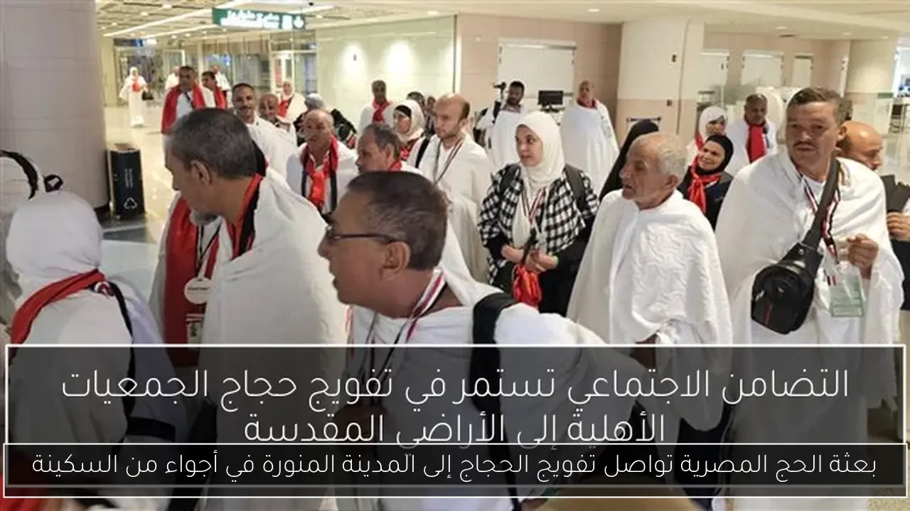 بعثة الحج المصرية تواصل تفويج الحجاج إلى المدينة المنورة في أجواء من السكينة