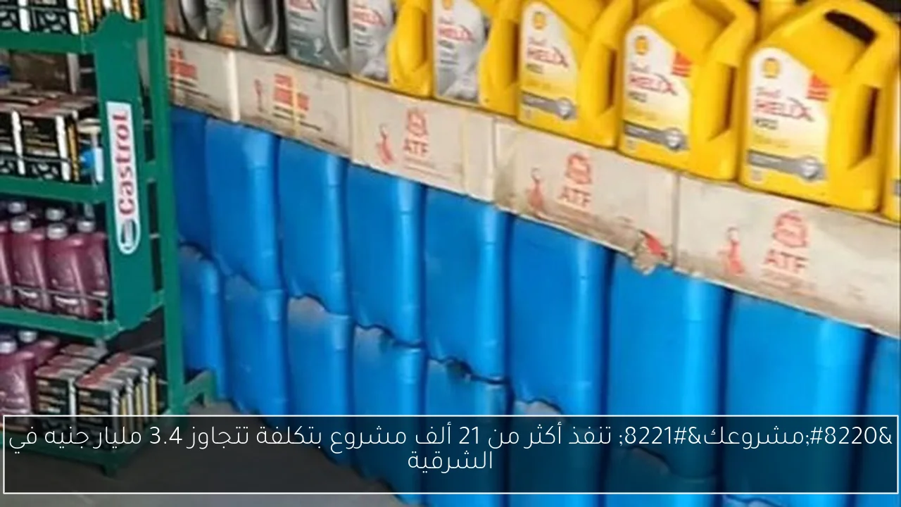 “مشروعك” تنفذ أكثر من 21 ألف مشروع بتكلفة تتجاوز 3.4 مليار جنيه في الشرقية