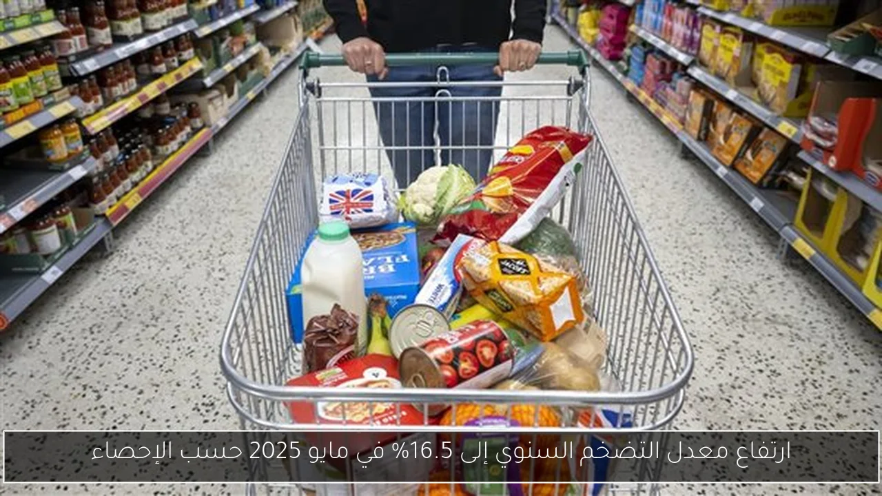 السيسي يستعرض الخطوات التنفيذية لزيادة الاستثمارات الأجنبية
