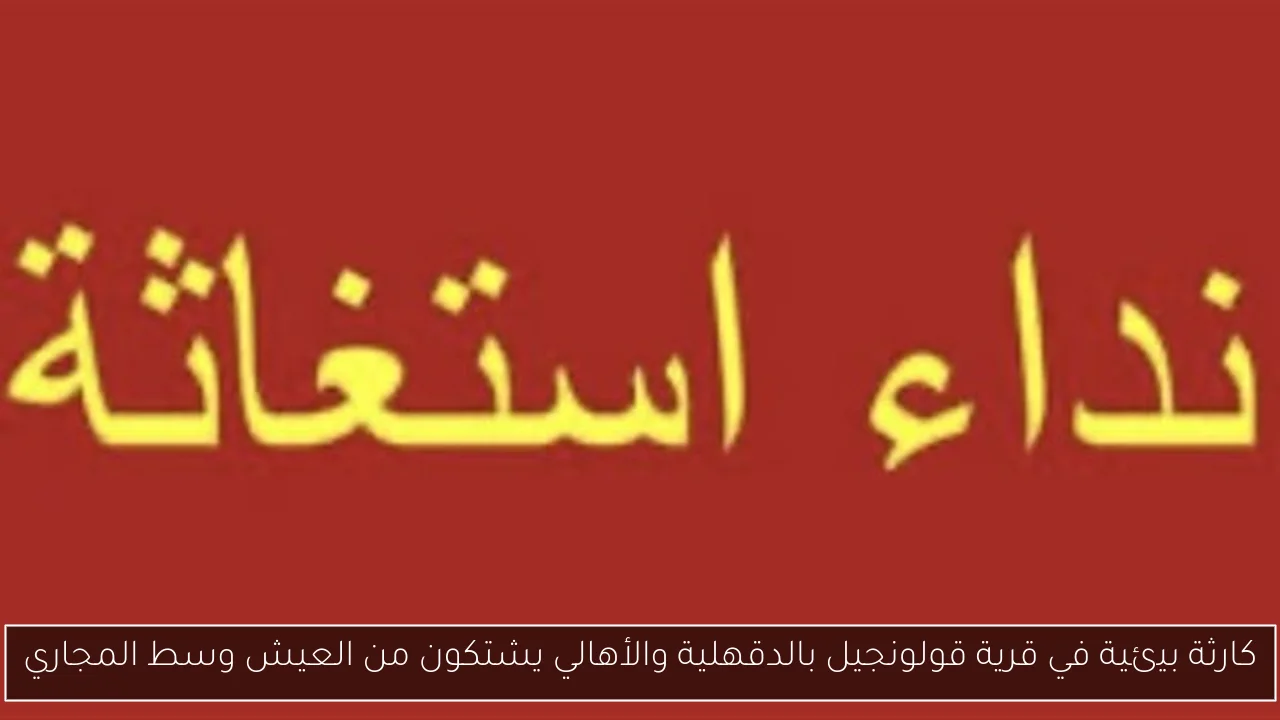 كارثة بيئية في قرية قولونجيل بالدقهلية والأهالي يشتكون من العيش وسط المجاري