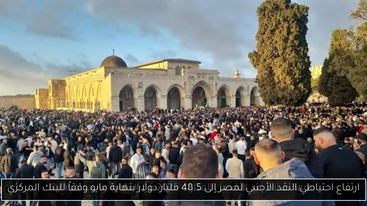 ارتفاع احتياطي النقد الأجنبي لمصر إلى 48.5 مليار دولار بنهاية مايو وفقاً للبنك المركزي