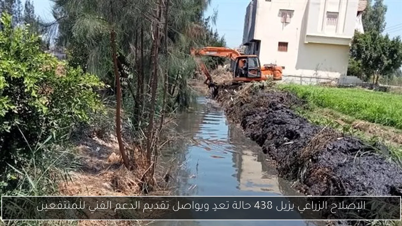 الإصلاح الزراعي يزيل 438 حالة تعدٍ ويواصل تقديم الدعم الفني للمنتفعين