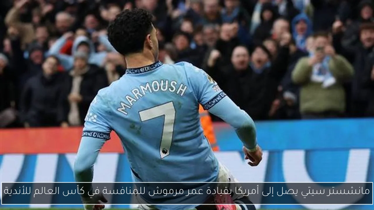 رامي رضوان يصف بيان وزارة الخارجية بالاحترام والمنطقية